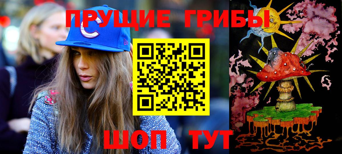 Псилоцибиновые грибы мухоморы Брянск